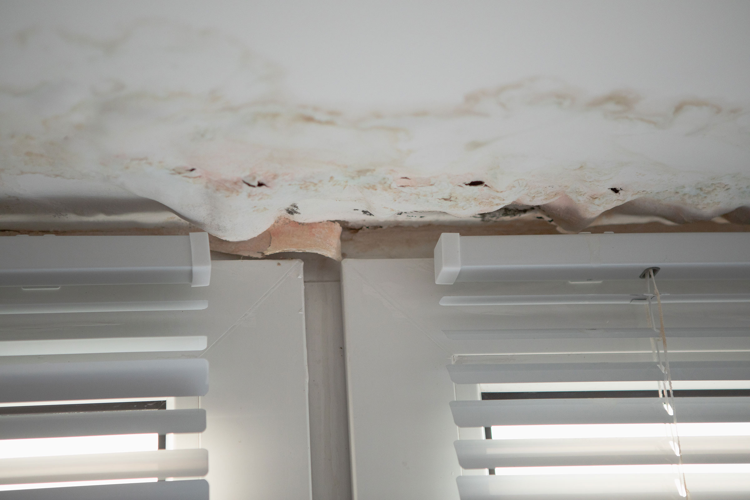 Mould and damp damage at the top of windows.