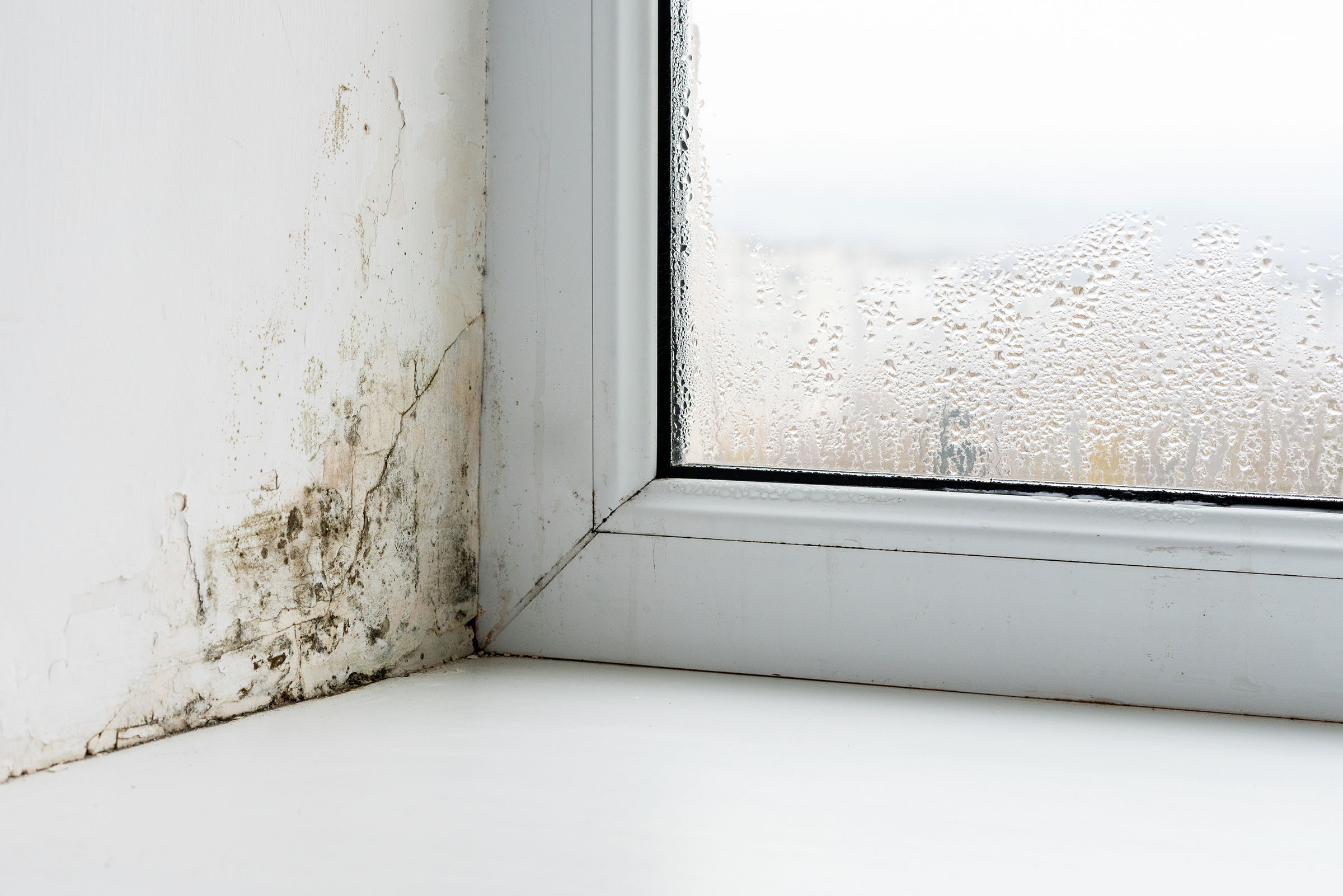Mold in the corner of the plastic windows